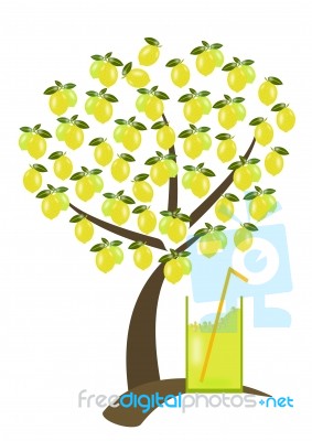Lemon Juice under lemon Tree Stock Image