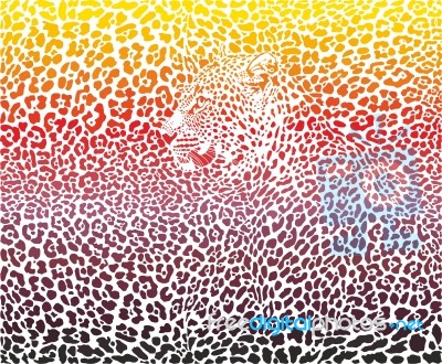 Leopard Abstract Background Stock Image