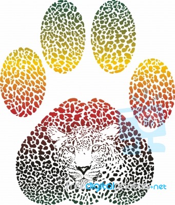 Leopard Color Footprint Stock Image