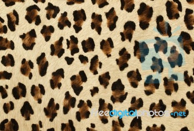 Leopard Skin Background Stock Photo