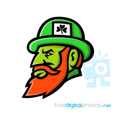 Leprechaun Head Mascot Stock Image