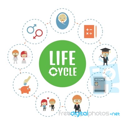 Life Cycle Stock Image