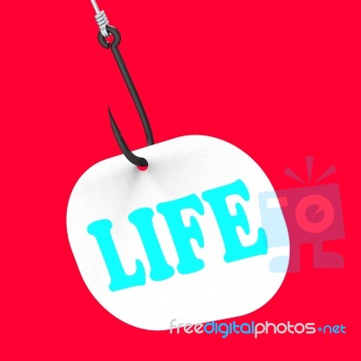 Life On Hook Shows Happy Lifestyle Or Prosperity Stock Image