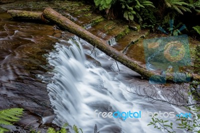 Liffey Falls In The Midlands Region, Tasmania Stock Photo