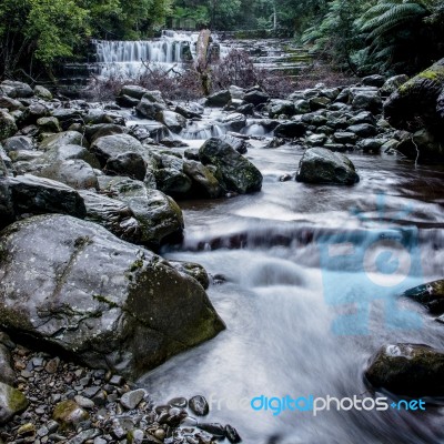 Liffey Falls In The Midlands Region, Tasmania Stock Photo