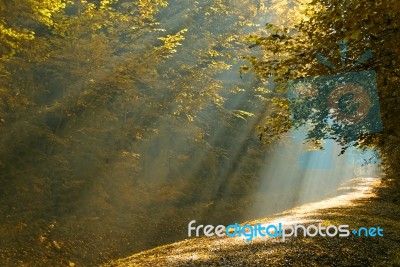 Light Path Stock Photo