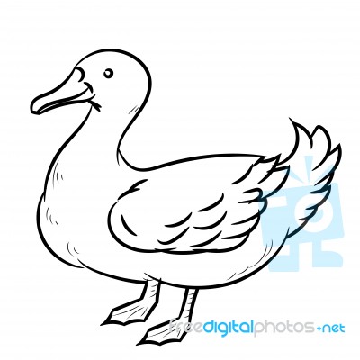 Line Drawing Of Duck -simple Line Stock Image