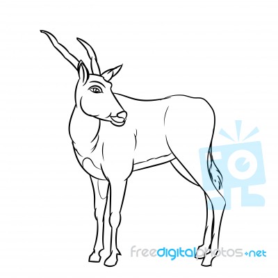 Line Drawing Of Impala -simple Line  Stock Image