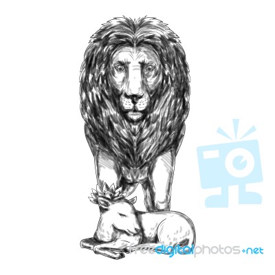 Lion Guarding Lamb Tattoo Stock Image