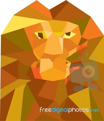 Lion Head Front Low Polygon Stock Image