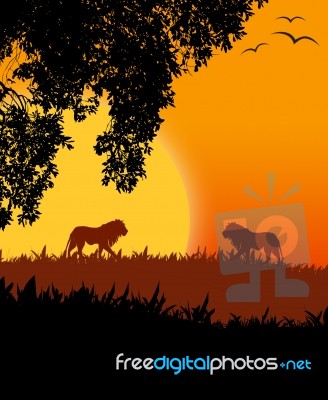 Lion Silhouette Stock Image