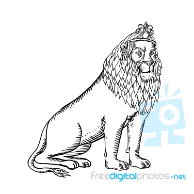 Lion Sitting Wearing Tiara Etching Black And White Stock Image