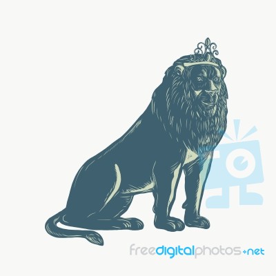 Lion Wearing Tiara Sitting Scratchboard Stock Image