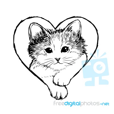 Little Cat Hand Drawn Stock Image