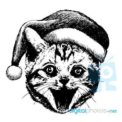 Little Cat, Kitten With Christmas Santa Hat Stock Image