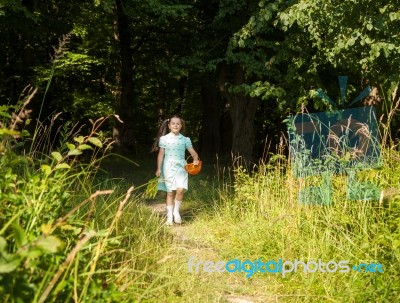Little Girl Goes Out Of The Forest Stock Photo