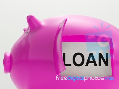 Loan Piggy Bank Means Money Borrowed Or Creditor Stock Image