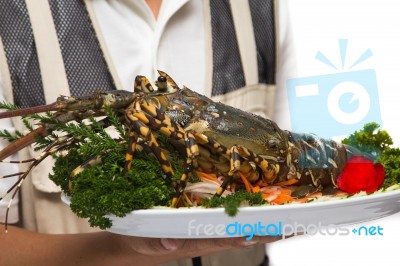 Lobster Stock Photo