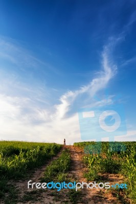 Lone Woman Standing On A Dirt Road Leading Off Into The Sky Stock Photo
