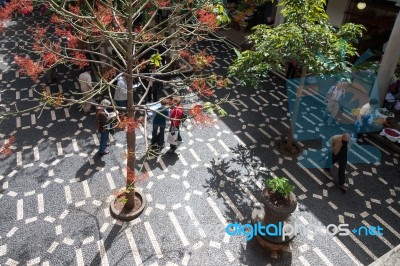 Looking Down Into The Courtyard At The Fruit And Vegetable Marke… Stock Photo