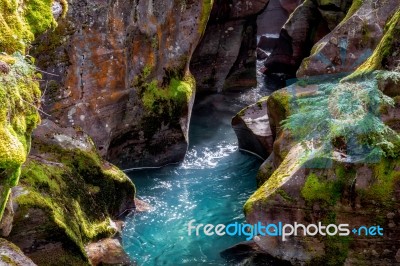 Looking Into Avalanche Creek Stock Photo