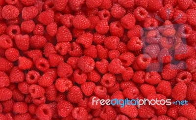 Lots Of Raspberries Stock Photo