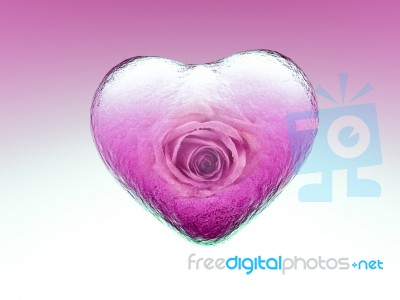 Love Stock Image