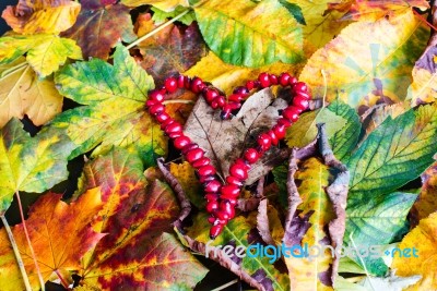 Love Autumn Stock Photo