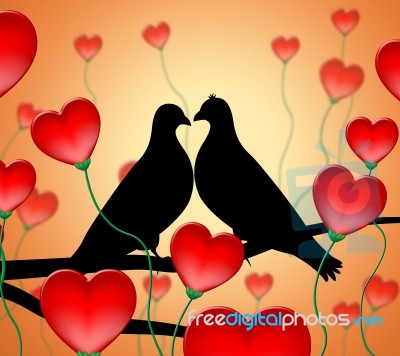 Love Birds Means Tenderness Wildlife And Compassion Stock Image
