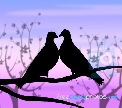 Love Birds Represents Compassion Passion And Heart Stock Image