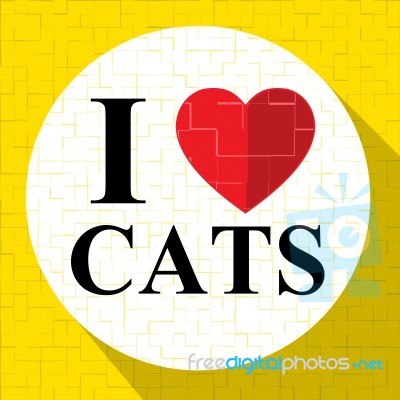 Love Cats Means Fabulous And Delightful Kitten Stock Image