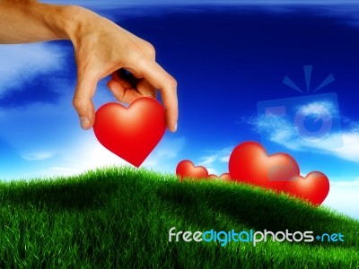Love Hand Stock Image