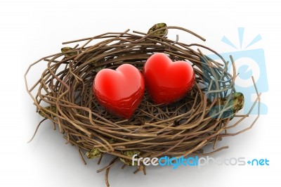 Love Heart And Nest Stock Image