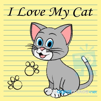 Love My Cat Represents Pet Tenderness And Compassion Stock Image