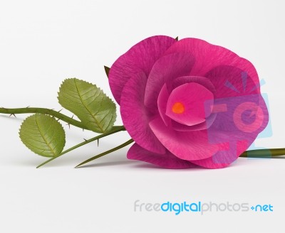 Love Rose Shows Bloom Petals And Romantic Stock Image