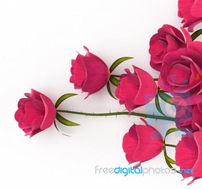 Love Roses Represents Passion Romance And Dating Stock Image
