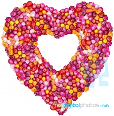 Love Shape made with Straw Flower Stock Photo