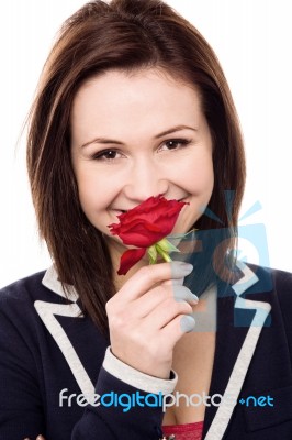 Lovely Young Girl With A Beautiful Red Rose Stock Photo