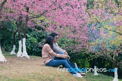 Lovers Stock Photo