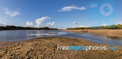 Low Tide Marshland Stock Photo