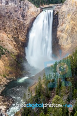 Lower Yellowstone Falls Stock Photo