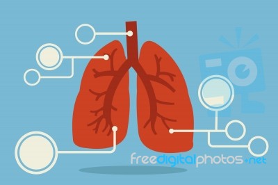 Lung Infographic Stock Image
