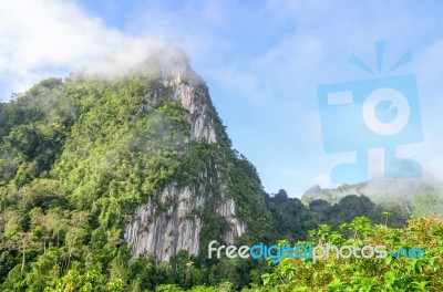 Lush High Mountains Covered By Mist Stock Photo