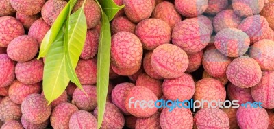 Lychee, Or Litchi, Litchi Chinensis, Fresh Litchi Fruits For Bac… Stock Photo