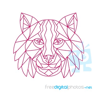 Lynx Bobcat Head Mono Line Stock Image