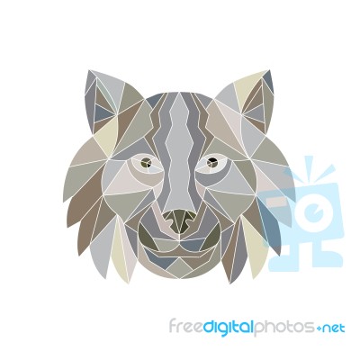 Lynx Cat Head Low Polygon Stock Image