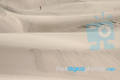 Maaspalomas, Gran Canaria/canary Islands - February 18 :  Nudist… Stock Photo