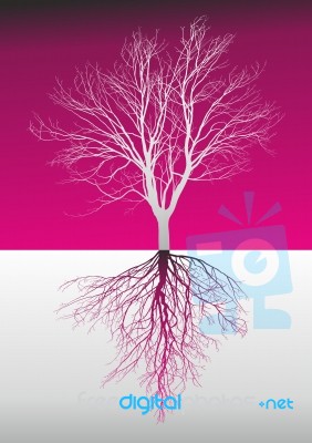 Magic Bare Tree With Roots Stock Image
