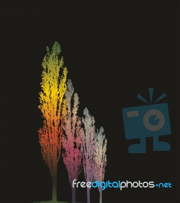 Magical Poplar Trees At Night Stock Image