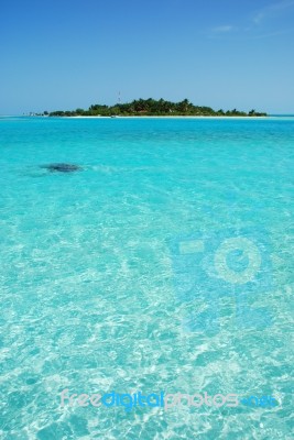 Maldives Island With Gorgeous Turquoise Water Stock Photo